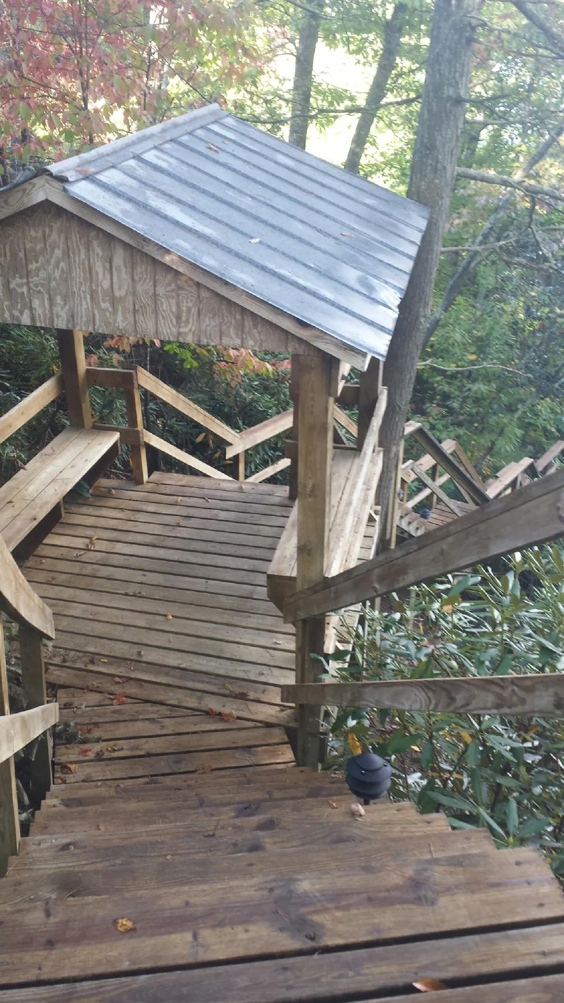 Metal roofed shelter over wooden steps on a wooded walkway — Skylight Repair & Installation work by our crew in Richland